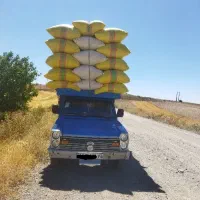 خرید و فروش کاه گندم و عدس