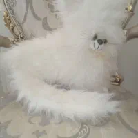 عروسک گربه بزرگ