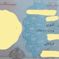 کارت ملی پیدا شده