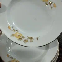 چینی|ظروف سرو و پذیرایی|چهاردانگه (تهران), |دیوار