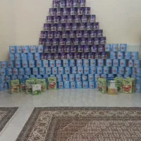 قوطی شیر خشک خالی