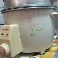 پلوپز سرخ کن زودپز وسبزی خرد کن|سایر لوازم برقی|شاهدشهر, |دیوار