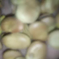 باقاله تمیز