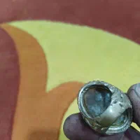 انگشتر شجر بهاره|جواهرات|گنبد کاووس, |دیوار