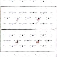 کشویی پلاستیکی|جاکفشی، کمد، دراور|مشهد, کوی سیدی|دیوار