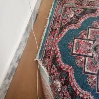 دوتا فروش 2/30|فرش|مشهد, شهرک بهارستان|دیوار
