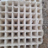 سینی ۲۱۸ دارم واسه فروش|خدمات باغبانی و درختکاری|کاکی, |دیوار