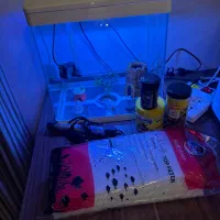 آکواریوم Delsa