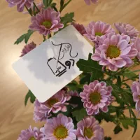 آموزش دوره مبتدی خیاطی|خدمات آموزشی|کرج, فاز ۳ گوهردشت|دیوار