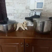 دیگ زودپز دوقلو دسینی