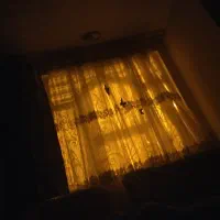 کلکسیون کبریت