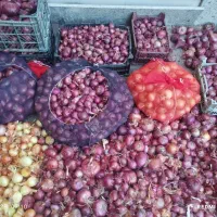 پیاز ترشی ومصرفی|خوردنی و آشامیدنی|بناب, |دیوار