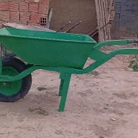 فرقون درحد لاستیکنو