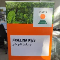 بذر چغندر بهاره