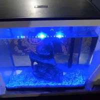 آکواریوم شرکتی سفید مشکی