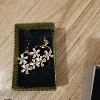 بدلیجات شیک