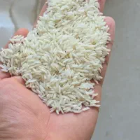 برنج جدید/ اصیل آستانه اشرفیه/عطری