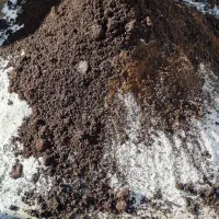 خاک گل درجه (1) گل ناز|گل و گیاه طبیعی|درگزین, |دیوار