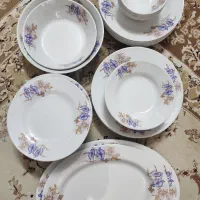 سرویس ملامین