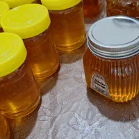 عسل سراب|خوردنی و آشامیدنی|صباشهر, |دیوار