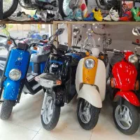 پاکشتی وسپا در رنگبندی