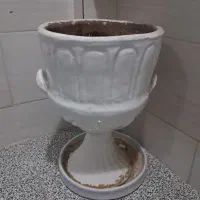 گلدان|گل و گیاه طبیعی|شیراز, محراب|دیوار