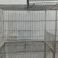 قفس پرنده|لوازم جانبی حیوانات|سبزوار, پیام|دیوار