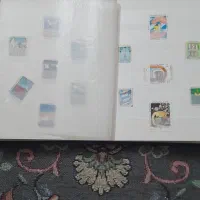 کلکسیون تمر