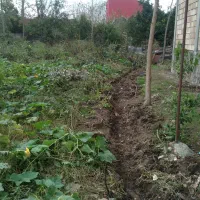 زمین سند دار با نامه بنیاد ۱میلیارد|فروش زمین و ملک کلنگی|رودبنه, |دیوار