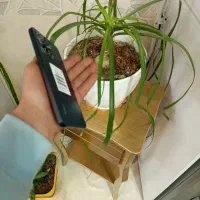 نوت 12|موبایل|قم, سراجه (۱۵ خرداد)|دیوار