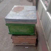 فروش عسل طبیعی