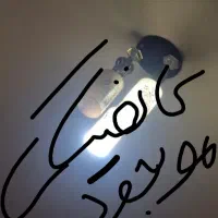 لامپ فعال شو م هم یشه