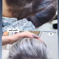 رنگ و لایت