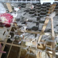 فنج بالغ ارزان ومناسب