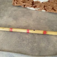 نی نو