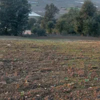 زمین کشاورزی  دیم در دامنه کوه