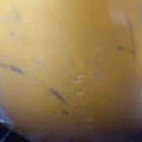 کپسول|قطعات یدکی و لوازم جانبی|قم, شاد قلی|دیوار