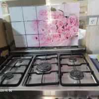 گاز دو فردار جوجه گردان ۵شعله