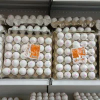 پخش تخم مرغ پایتخت عمده وجزعی بار تره باری موجود