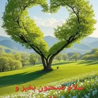 جای خواب موقت