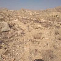 زمین باغچه ۱۰۰۰متری|فروش دفتر صنعتی، کشاورزی، تجاری|شیراز, داریون|دیوار