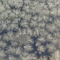 خط رند ایرانسل