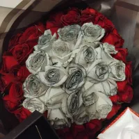 استخدام همکار گل فروشی و ادمین بلاگر فروشندگی