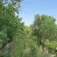 باغ ۱۵۰۰متری دوبهر با دیوارکشی سنگی در گیو|فروش خانه و ویلا|تفرش, |دیوار