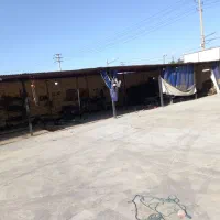 پارکینگ ماشینهای تصادفی و شخصی