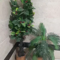 دو عدد گل مصنوعی