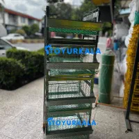 در*آپارتمان یا% بلدرچین مینی و قفس مرغ|لوازم جانبی حیوانات|تربتحیدریه, اندیشه|دیوار