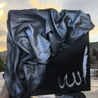 تابلو دکوراتیو لوکس|تابلو، نقاشی، عکس|قره ضیاالدین, |دیوار