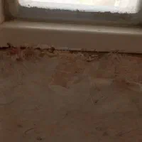 رنگ پلاستیک و پتینه والیاف چک صیادی