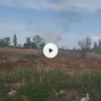 باغ انگور ۳ ساله واقع در روستای گل تپه محال انزل